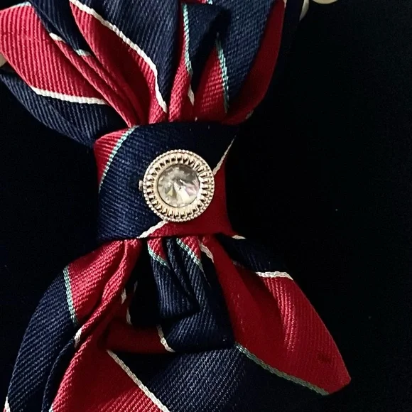 Elegant Red and Blue Striped Tie Necklace with jeweled brooch.. - Picture 2 of 3